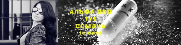 винт Алексин