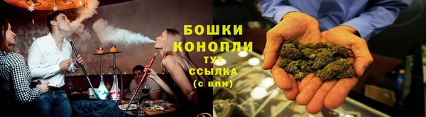 PSILOCYBIN Алексеевка
