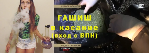 шишки Алзамай