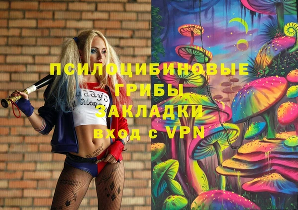 шишки Алзамай
