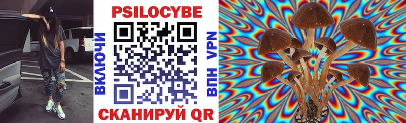 Галлюциногенные грибы мицелий  Петропавловск-Камчатский 