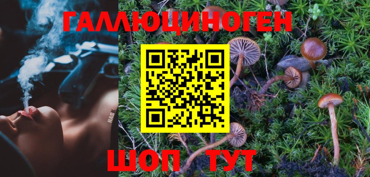 Петропавловск-Камчатский  Псилоцибиновые грибы Cubensis  Вход с VPN  Галлюциногенные грибы Psilocybe 